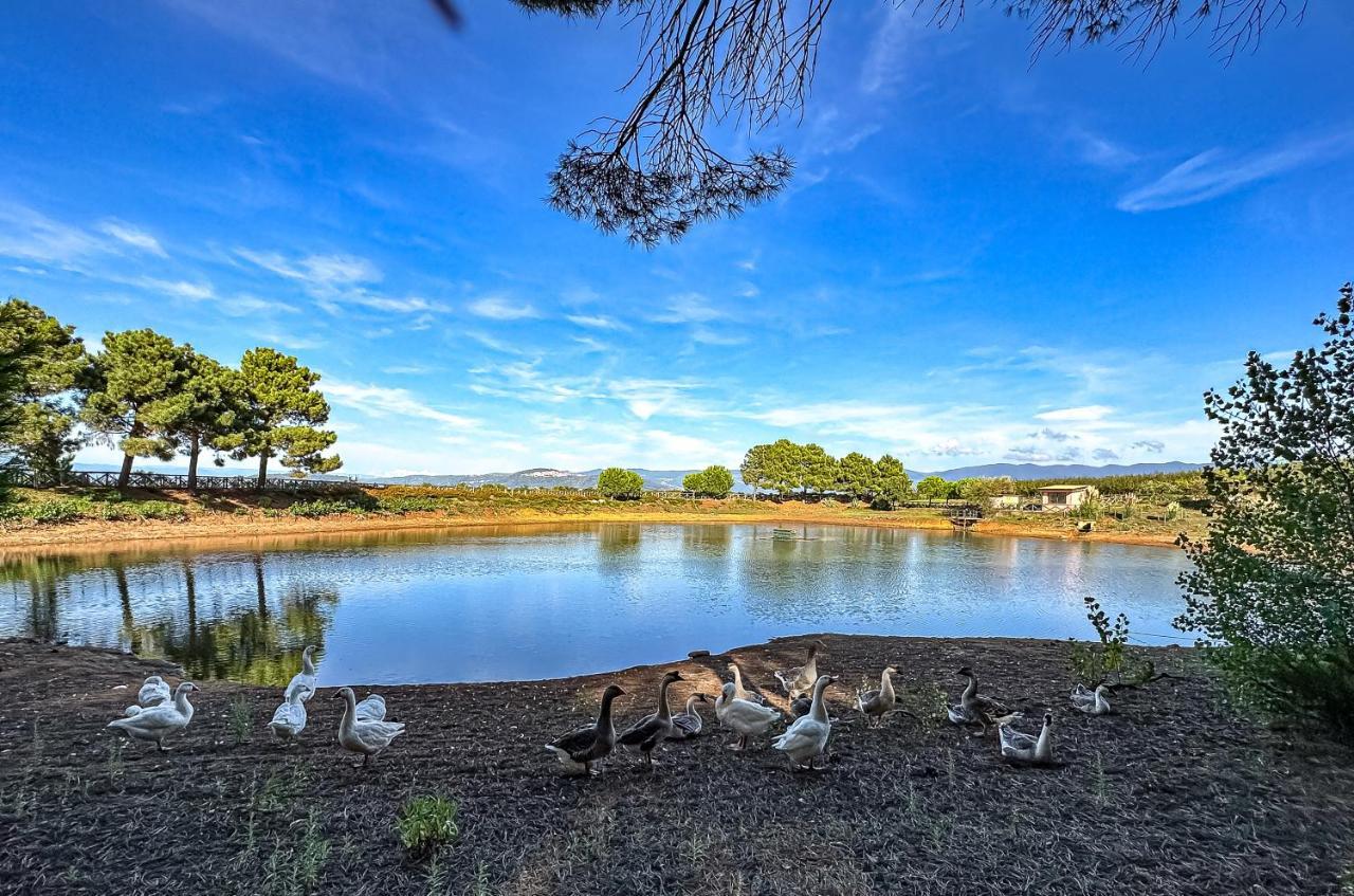 Popilia Country Resort ปิซโซ ภายนอก รูปภาพ